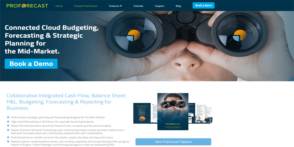 Financial Forecasting Software